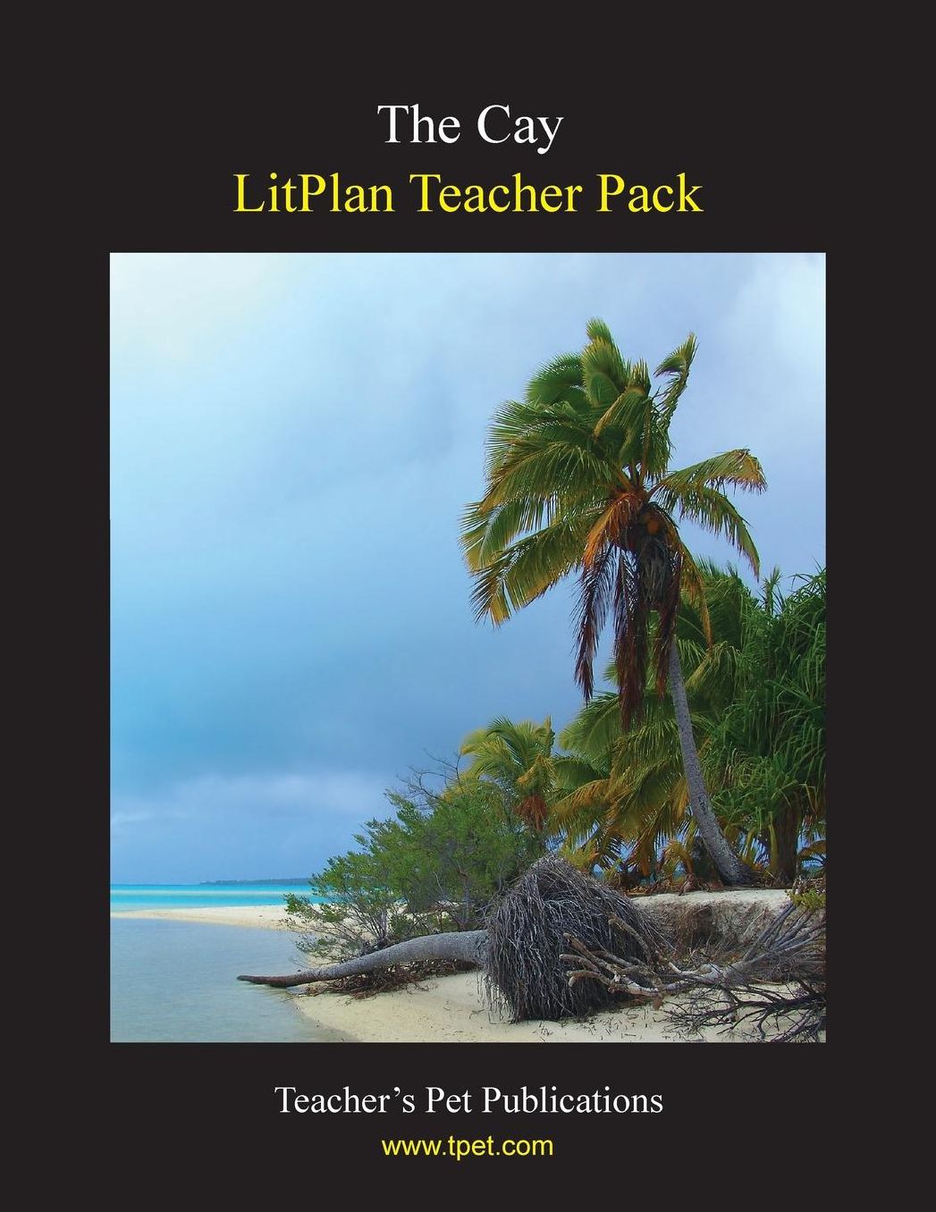 Cay: Litplan Teacher Pack