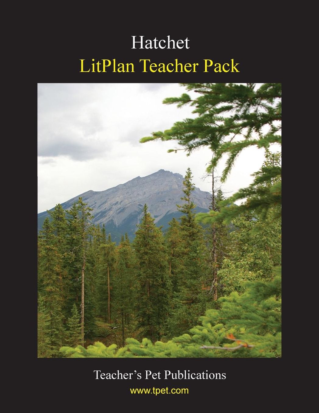 Hatchet: Litplan Teacher Pack