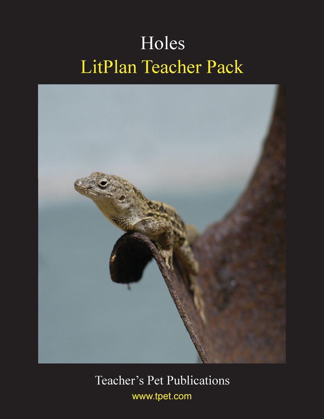Holes: Litplan Teacher Pack