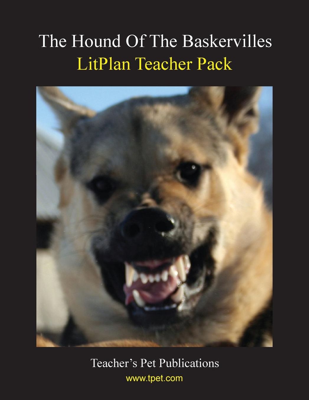 Hound of the Baskervilles: Litplan Teacher Pack
