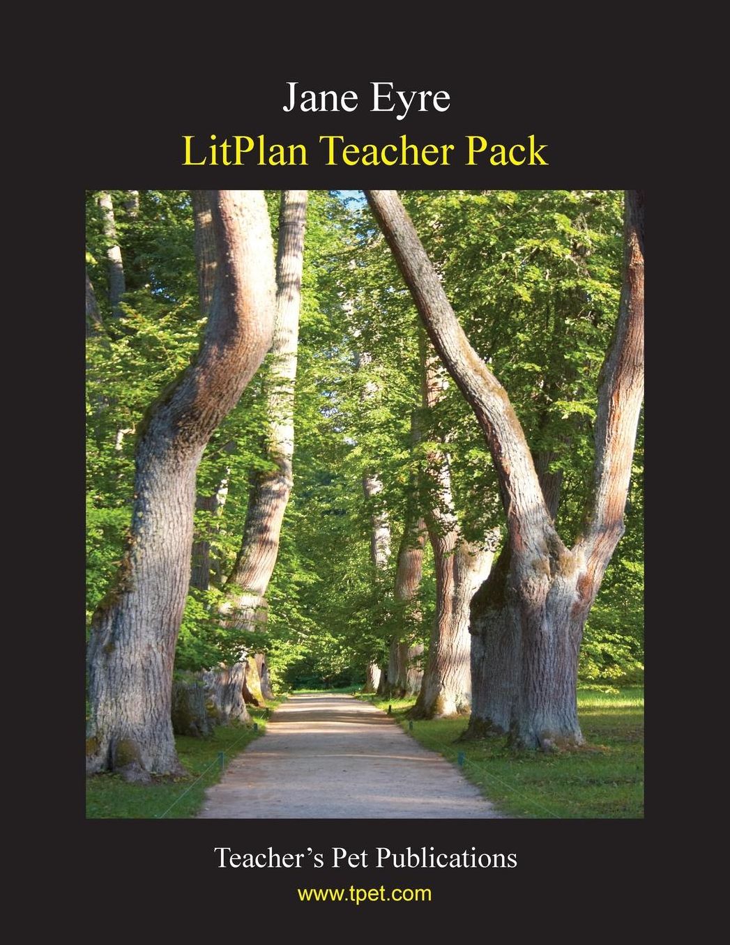 Jane Eyre: Litplan Teacher Pack