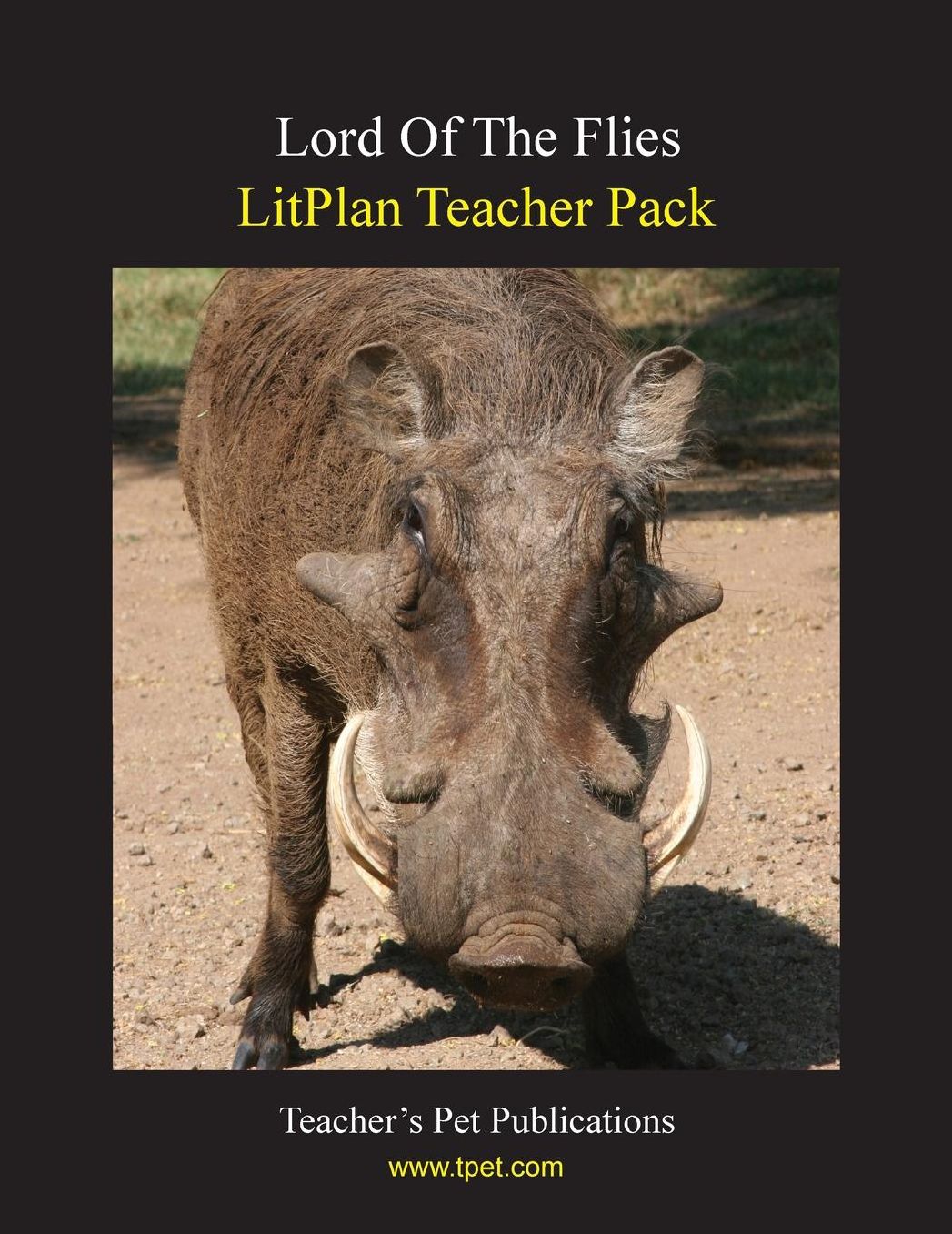 Lord of the Flies: Litplan Teacher Pack