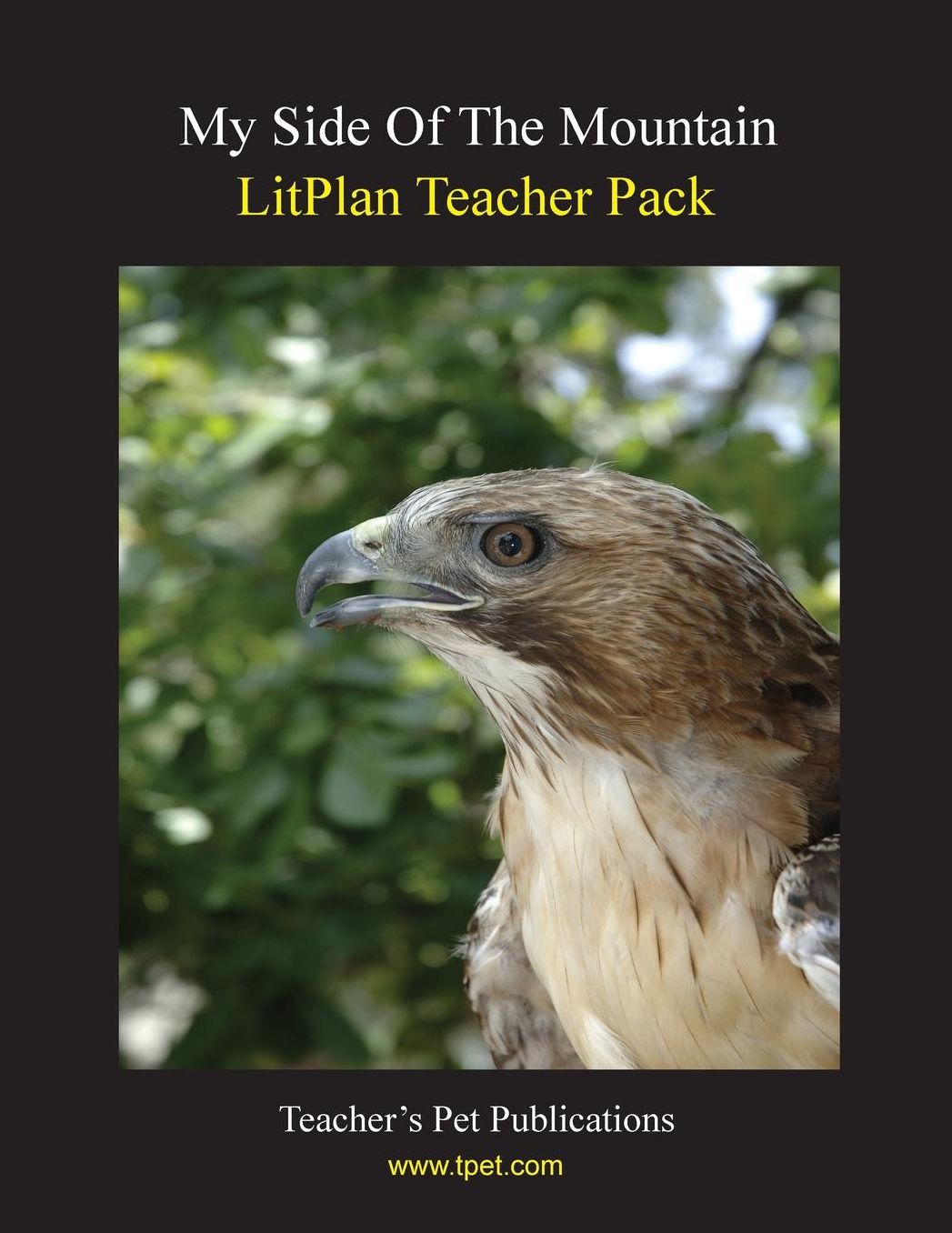 My Side of the Mountain: Litplan Teacher Pack