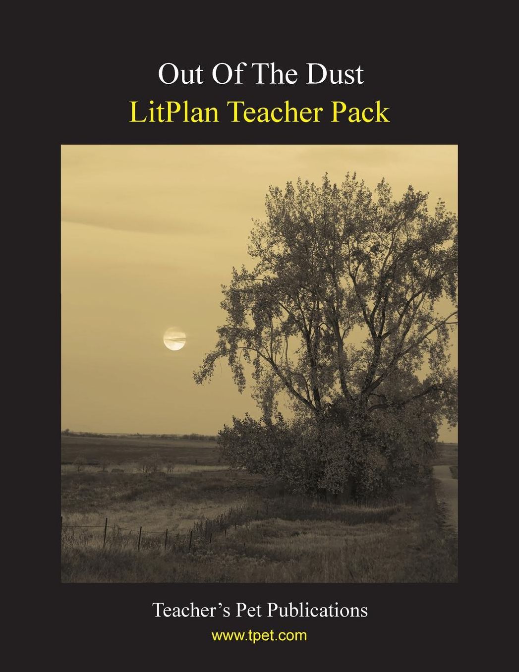 Out of the Dust: Litplan Teacher Pack