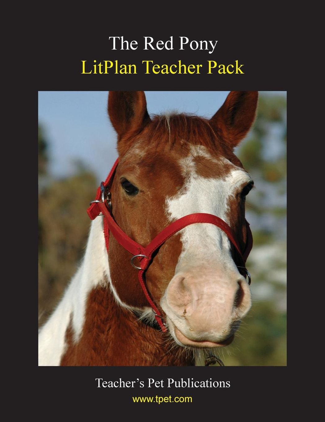 Red Pony: Litplan Teacher Pack