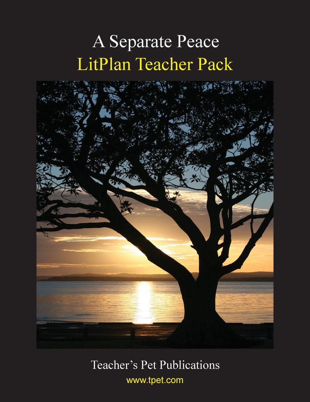 Separate Peace: Litplan Teacher Pack