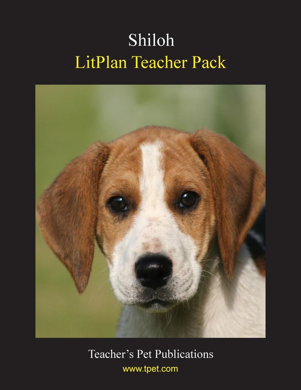 Shiloh: Litplan Teacher Pack