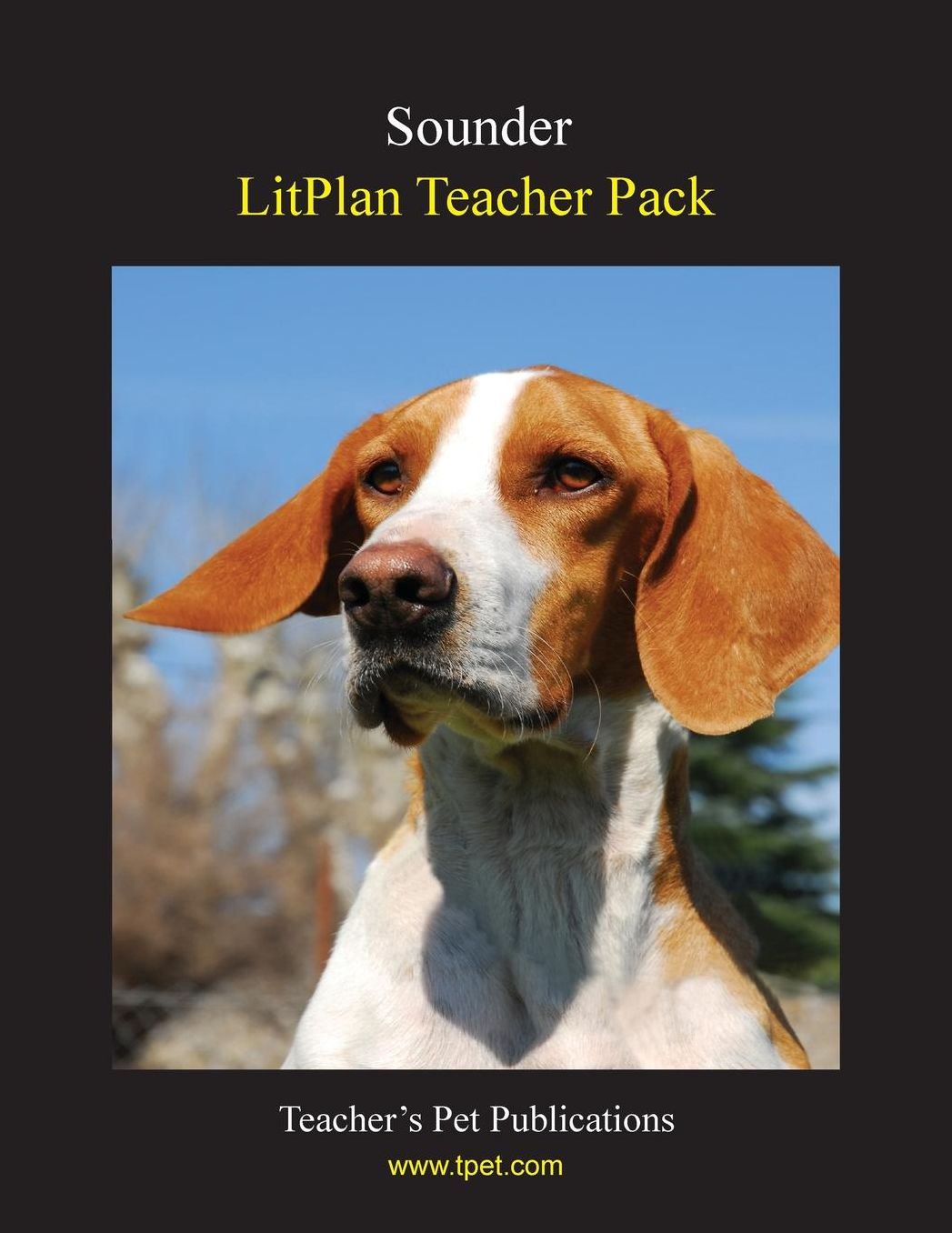Sounder: Litplan Teacher Pack