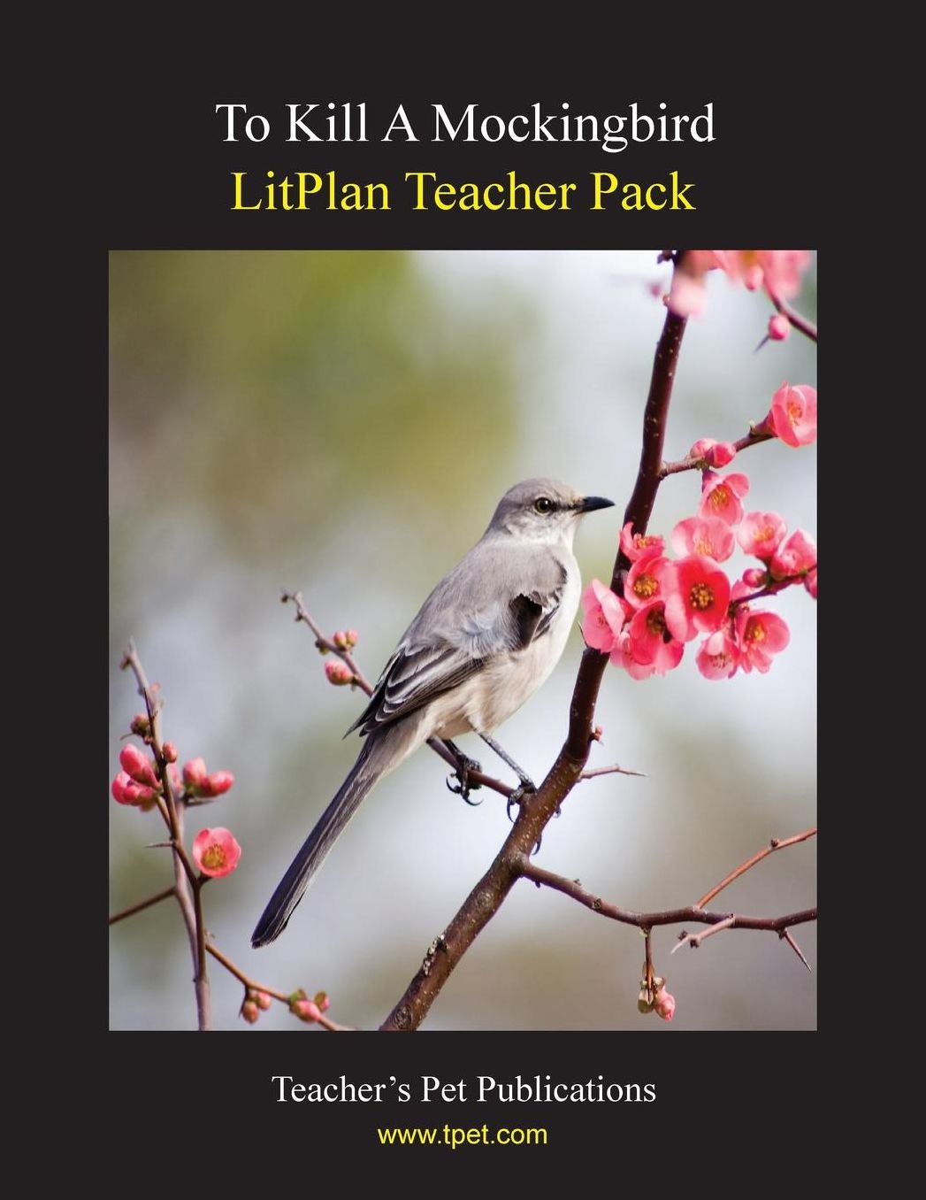 To Kill a Mockingbird: Litplan Teacher Pack