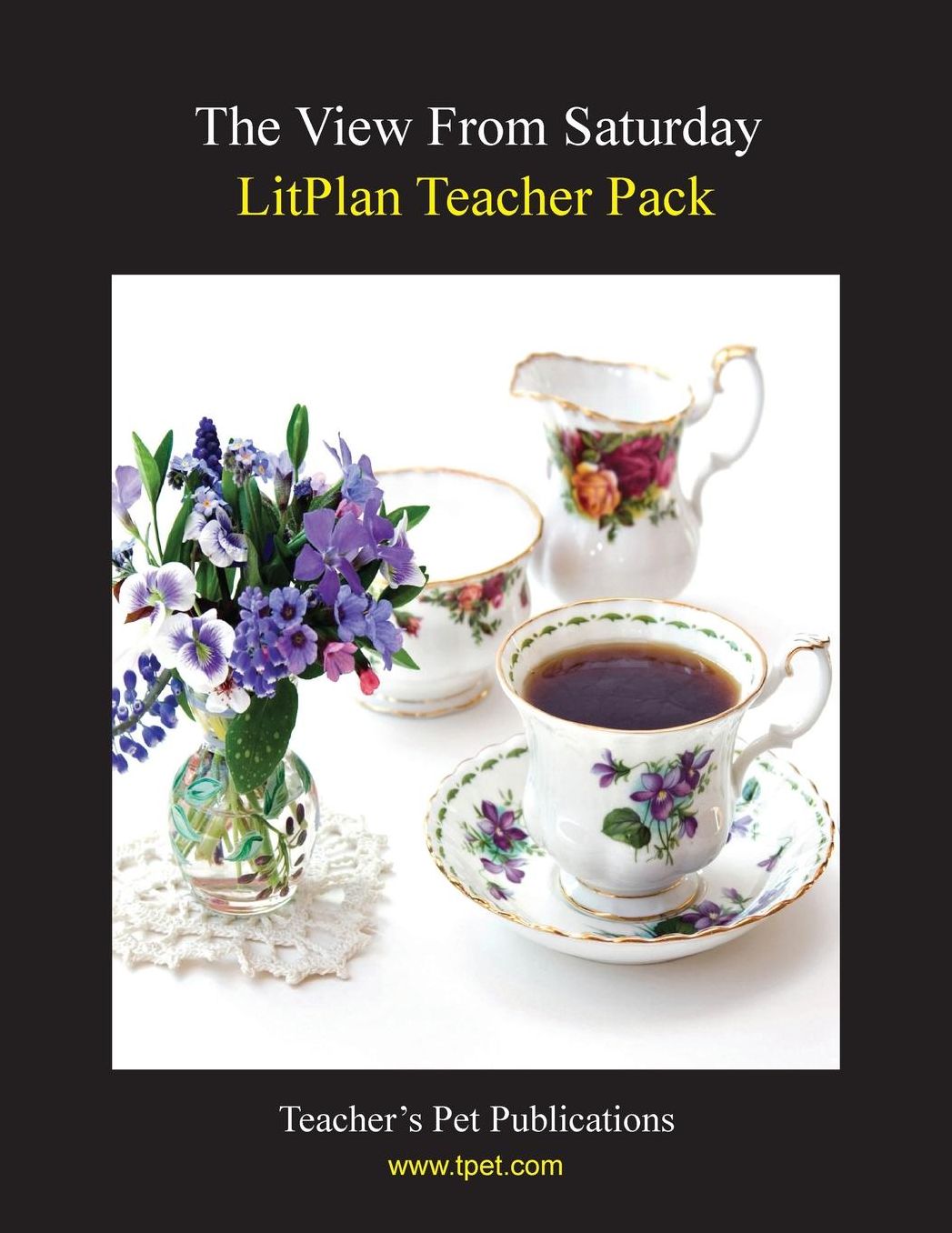 View from Saturday: Litplan Teacher Pack