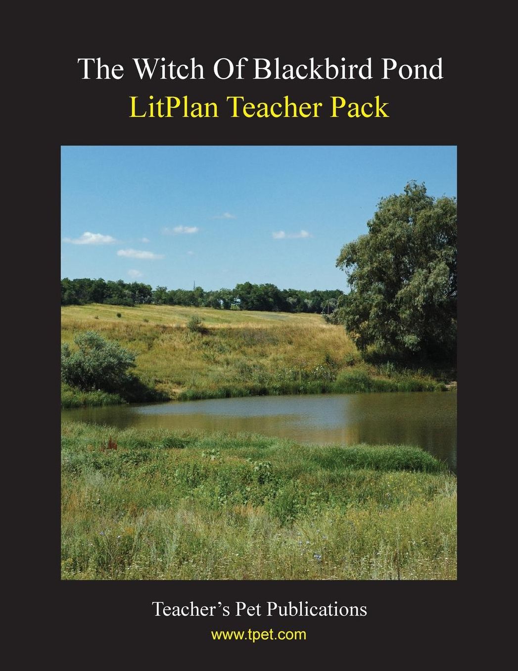 Witch of Blackbird Pond: Litplan Teacher Pack