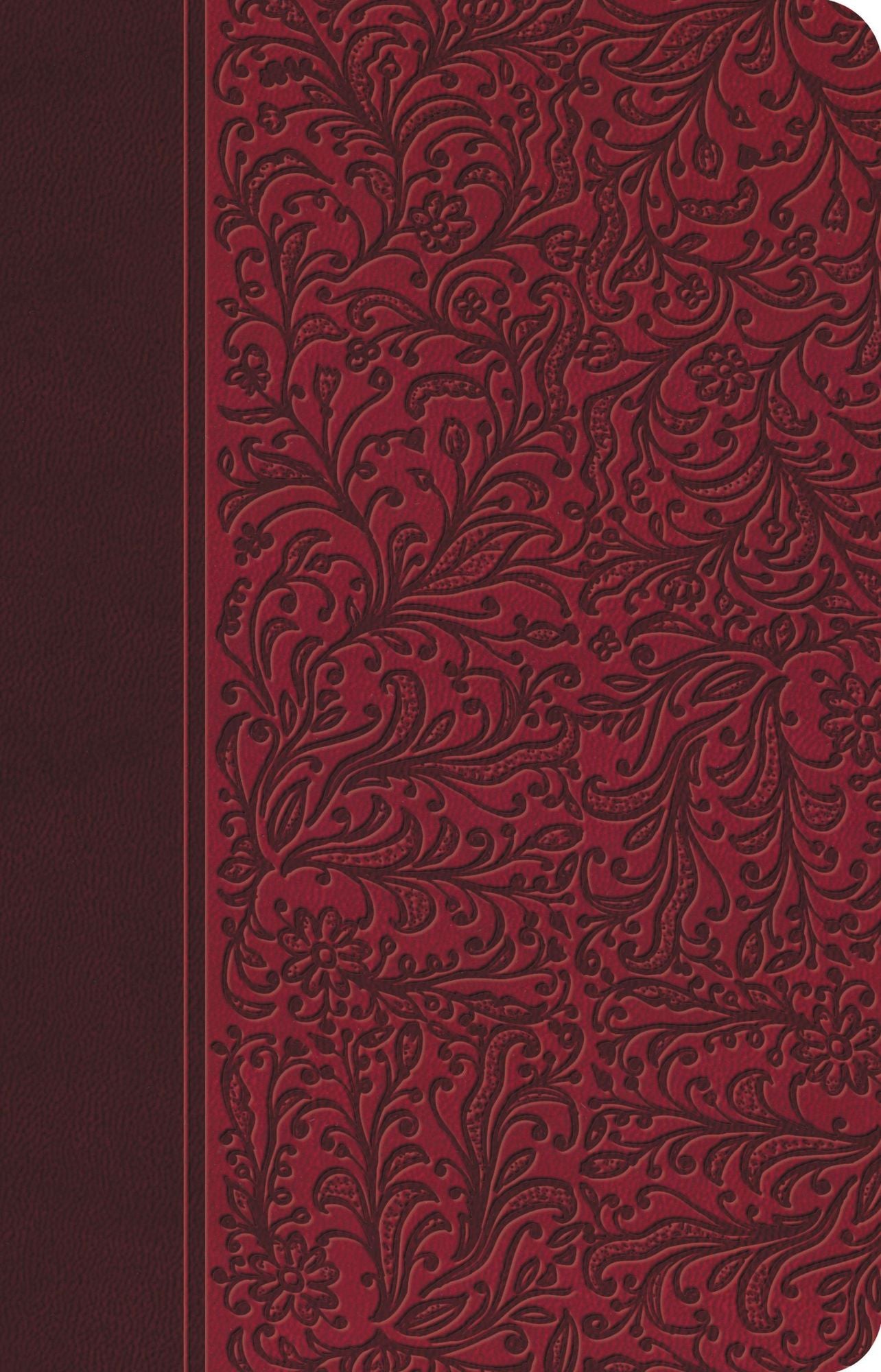 Biblia Clásica Edición Especial: Rubi