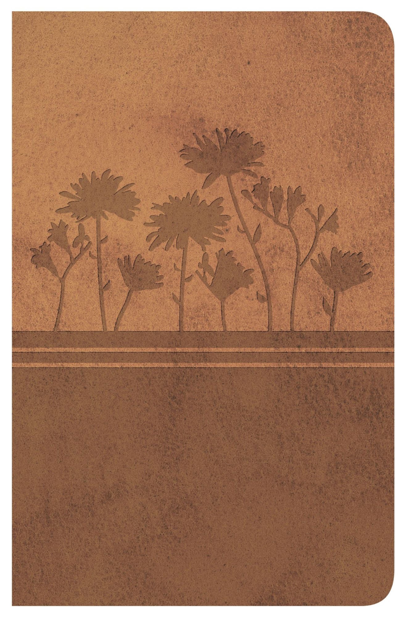 Biblia Clásica Edición Especial: Ocre