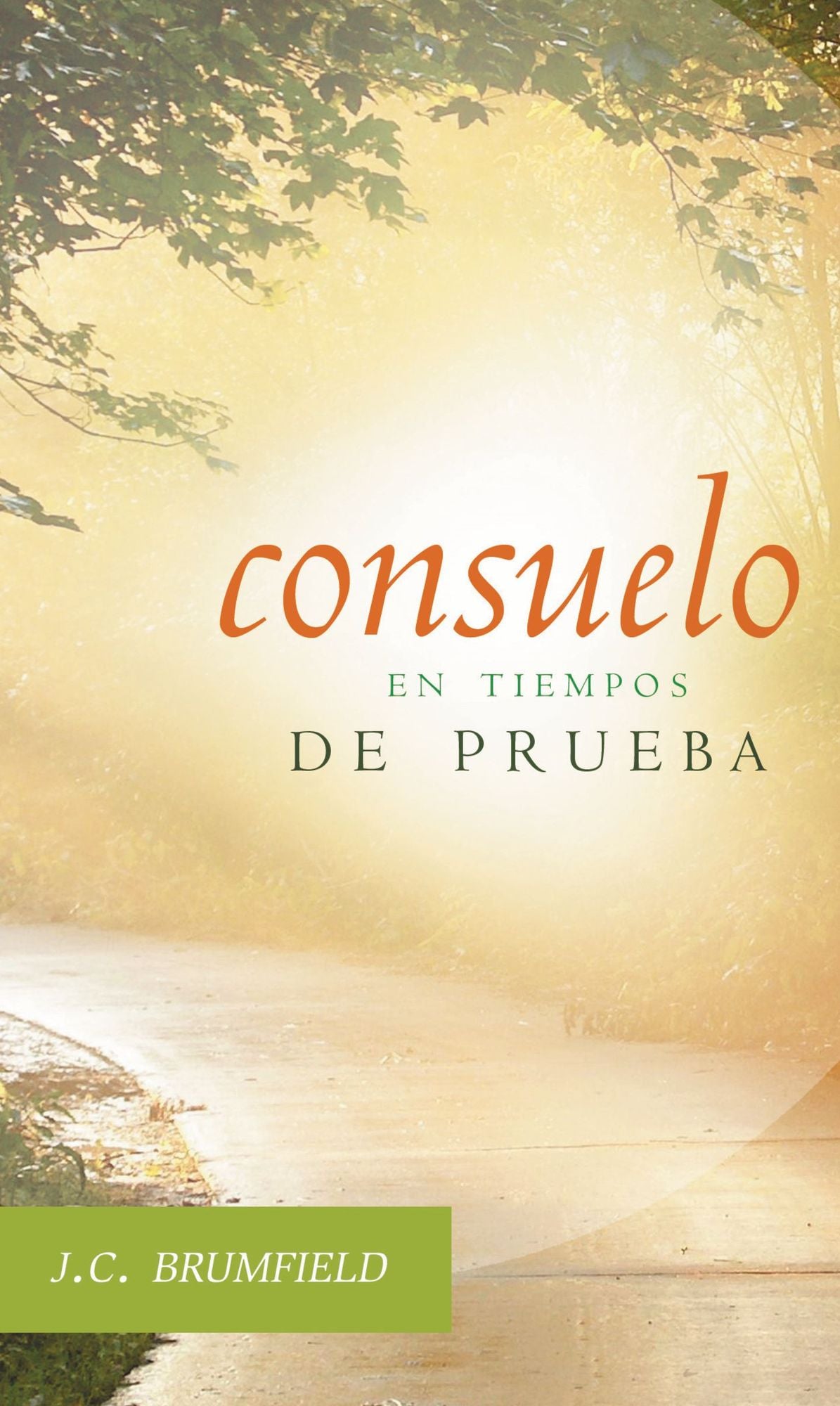 Consuelo en tiempos de prueba