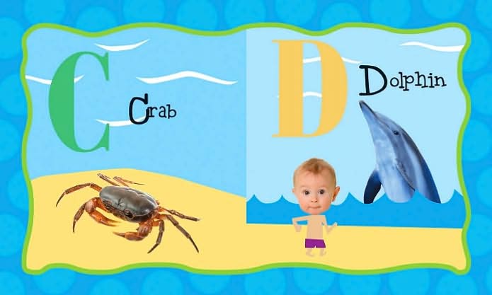 My Little Florida ABC