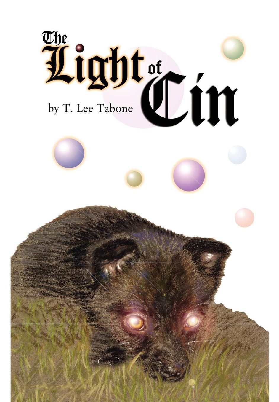 Light of Cin