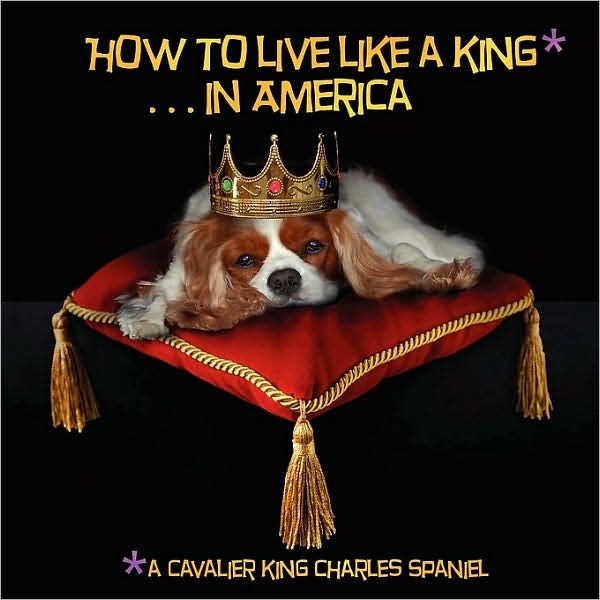 How to Live like a King. in America