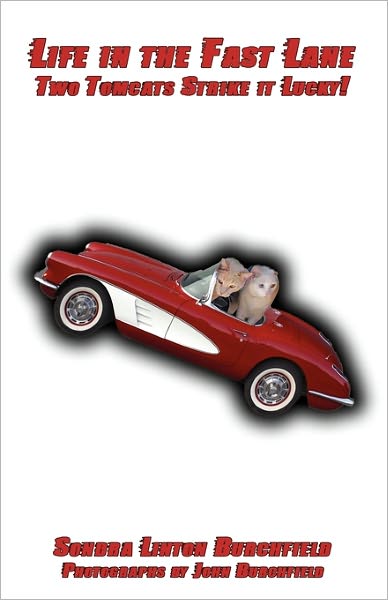 Life In The Fast Lane
