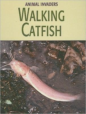 Walking Catfish