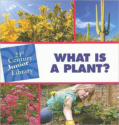What Is a Plant?