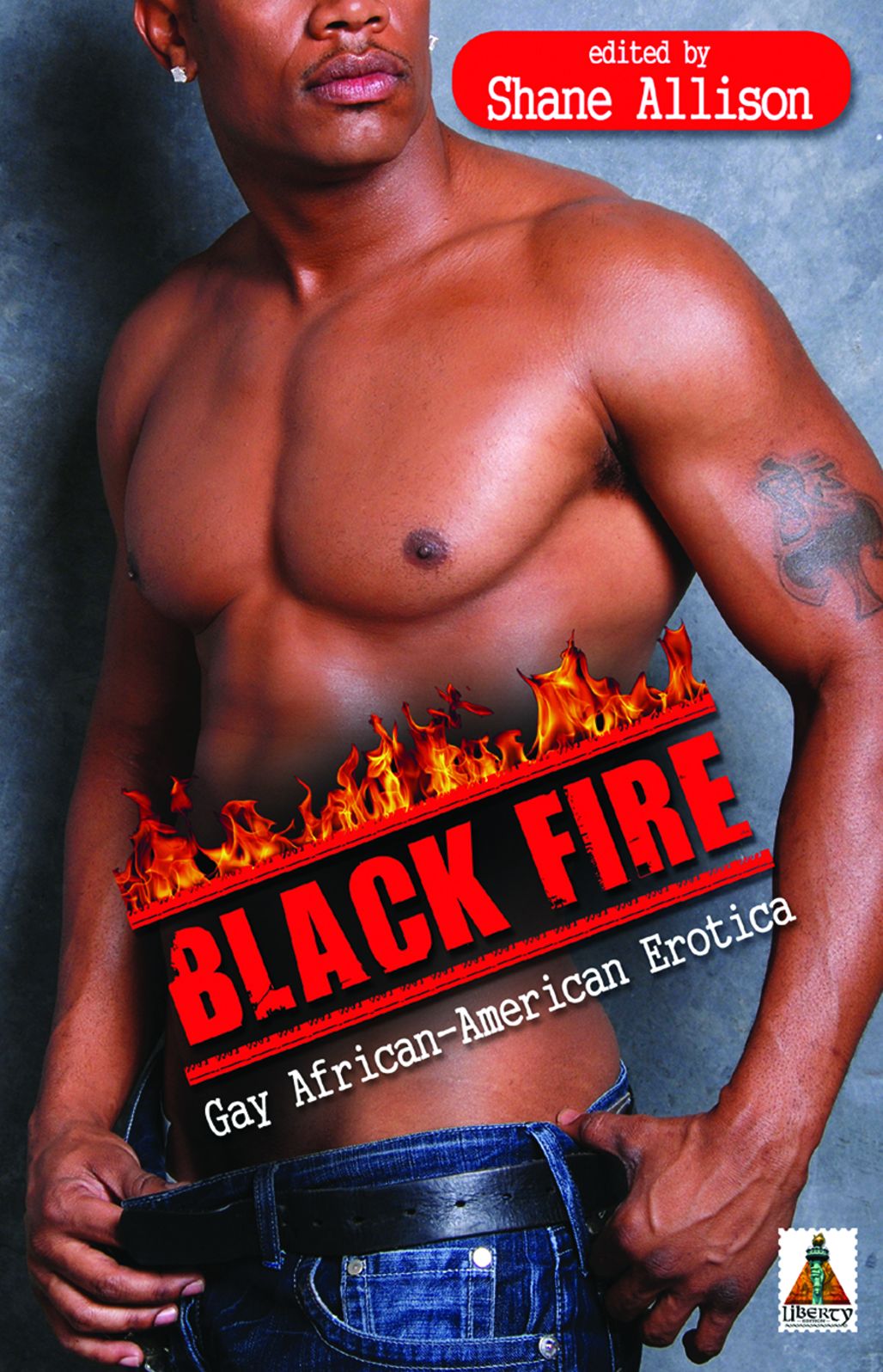 Black Fire: Gay-African American Erotica