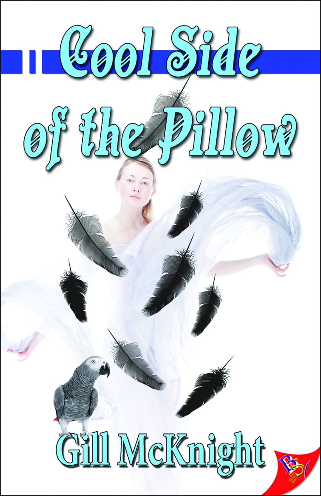 Cool Side of the Pillow