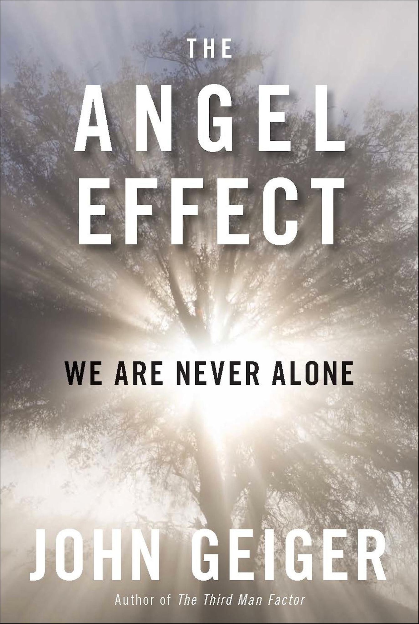 The Angel Effect: The Powerful Force That Ensures We Are Never Alone