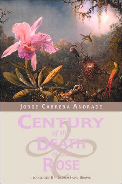 Century Of The Death Of The Rose