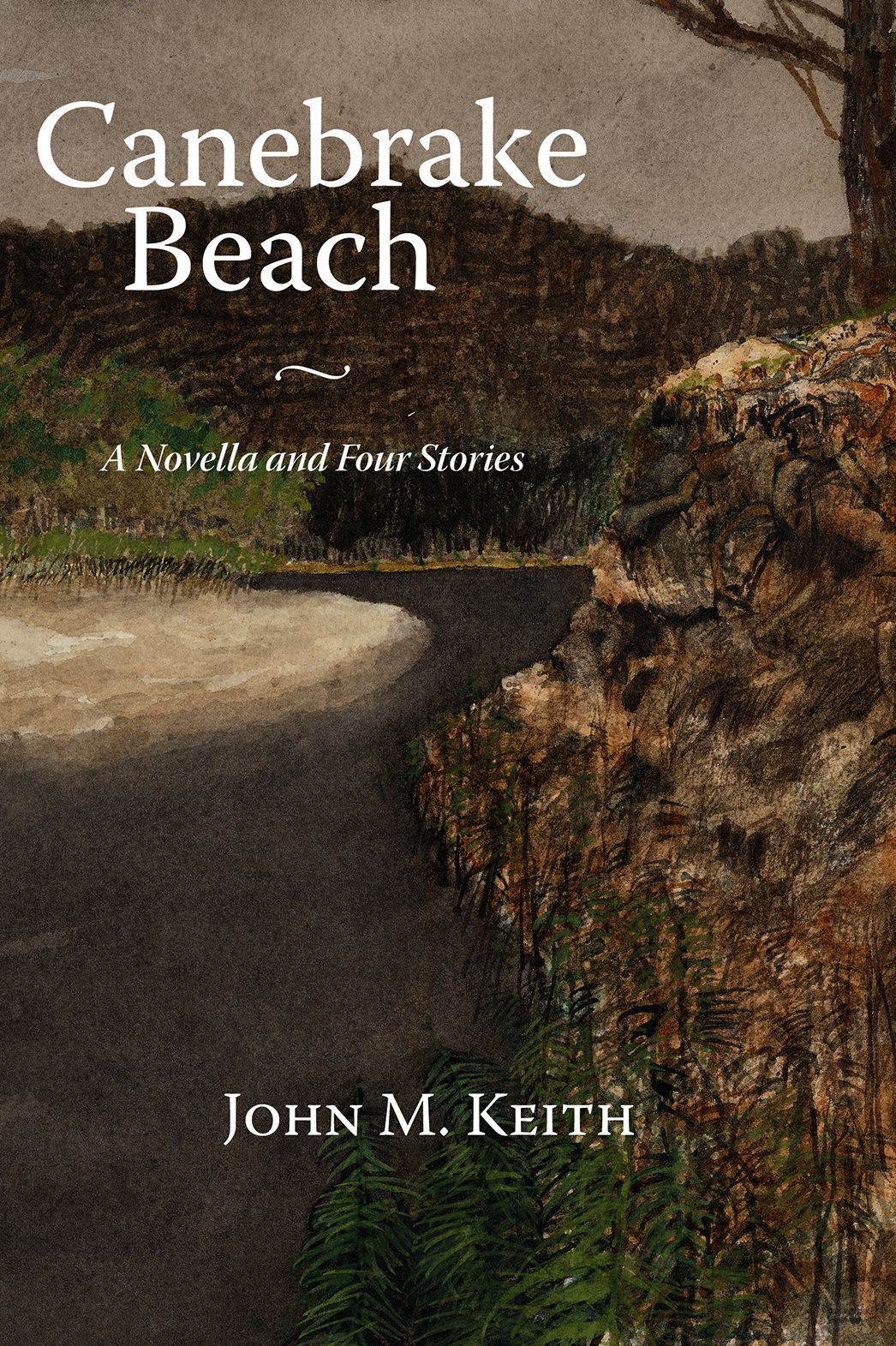 Canebrake Beach: A Novella and Four Short Stories