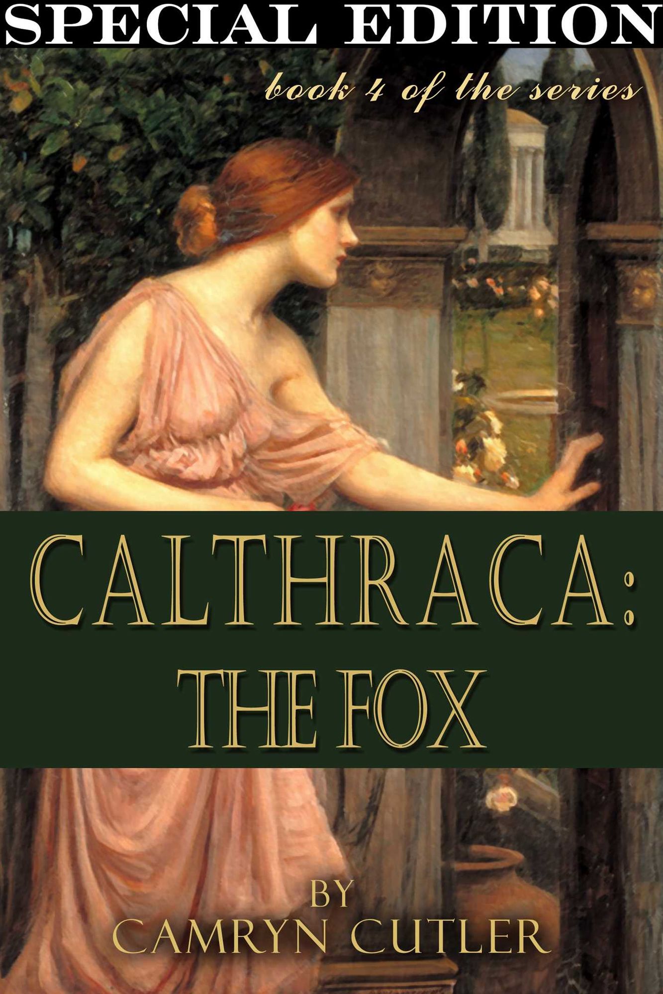The Fox