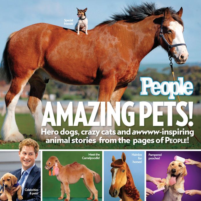 People Amazing Pets!