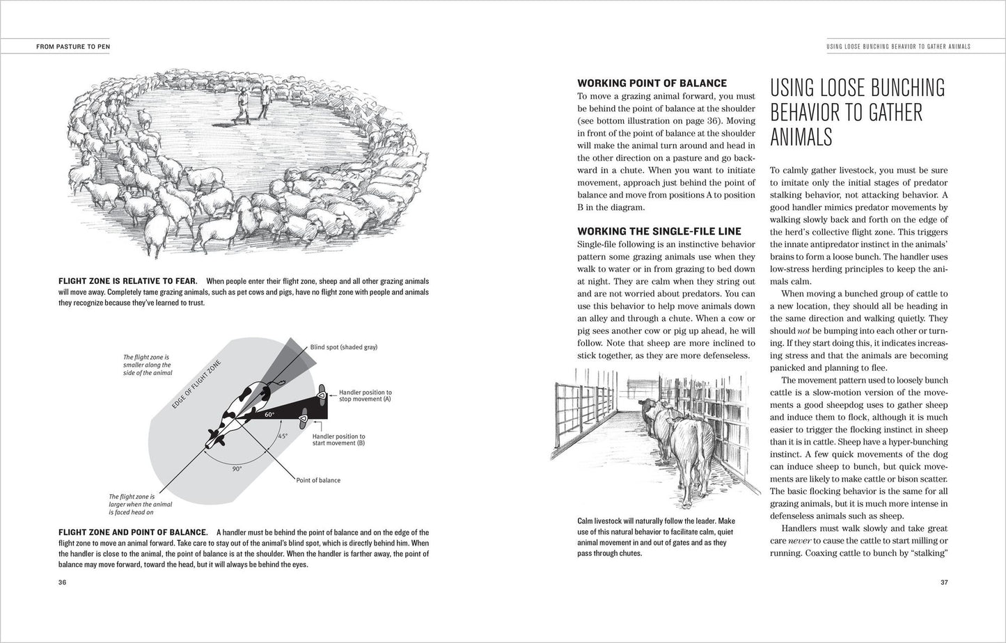 Humane Livestock Handling: Understanding Livestock Behavior and Building Facilities for Healthier Animals
