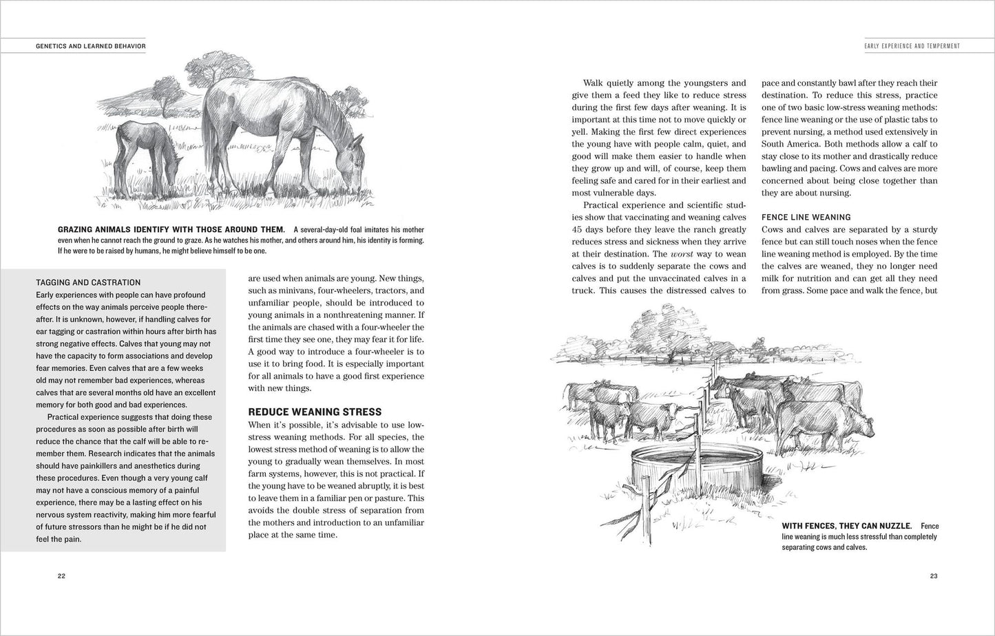 Humane Livestock Handling: Understanding Livestock Behavior and Building Facilities for Healthier Animals