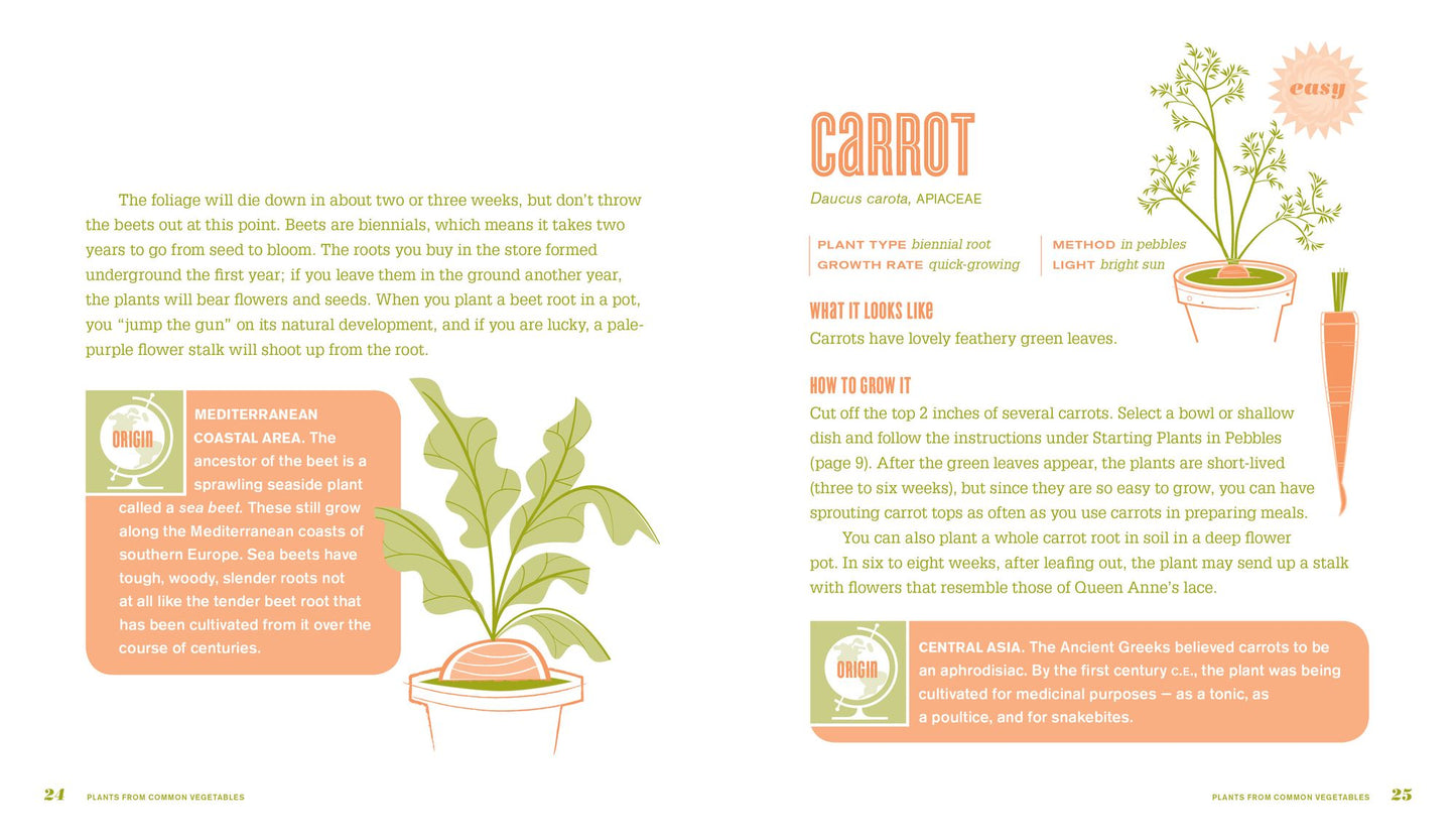 Don't Throw It, Grow It!: 68 Windowsill Plants from Kitchen Scraps
