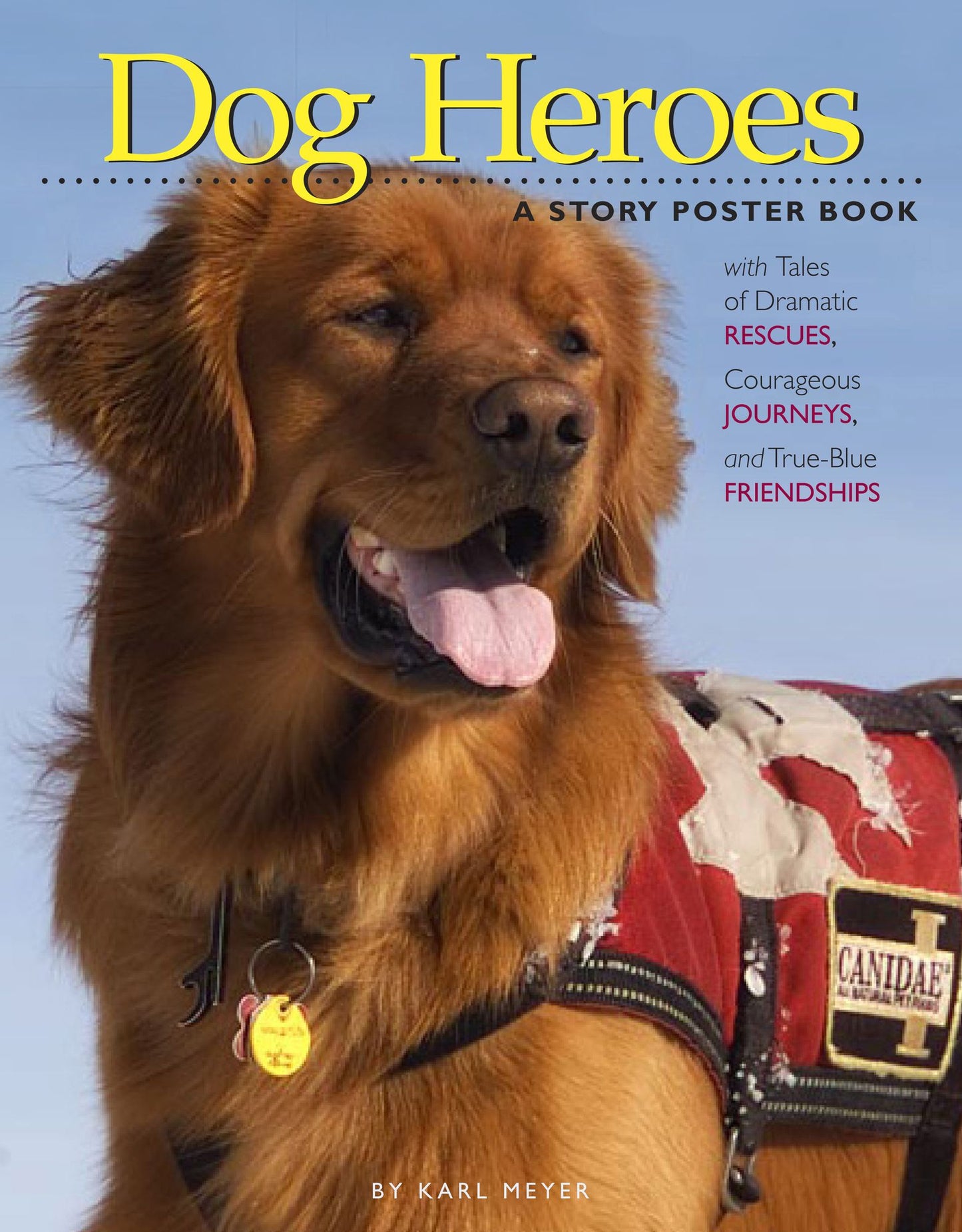 Dog Heroes: A Poster Book