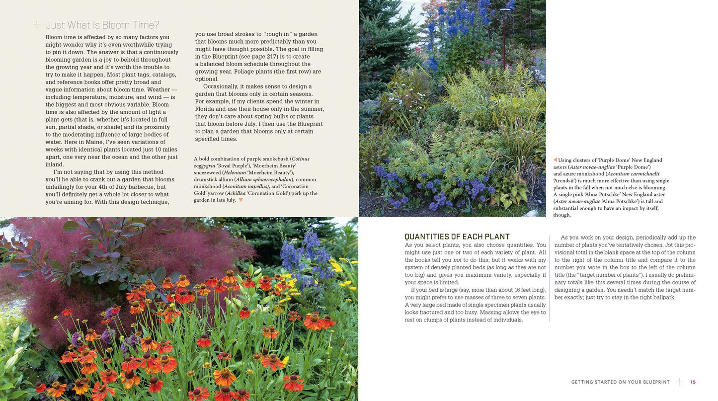 The Ever-Blooming Flower Garden: A Blueprint for Continuous Color