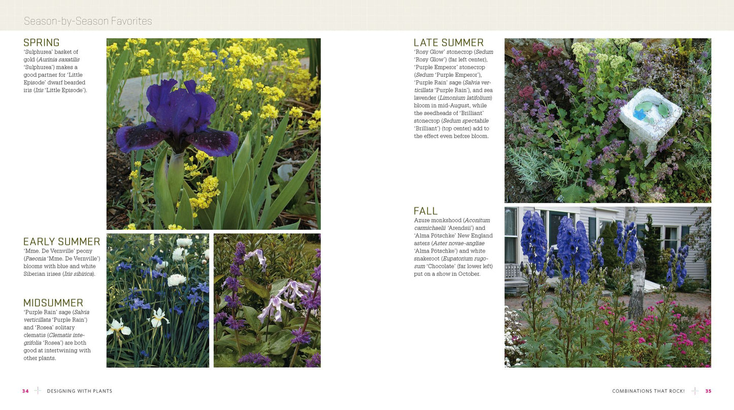 The Ever-Blooming Flower Garden: A Blueprint for Continuous Color