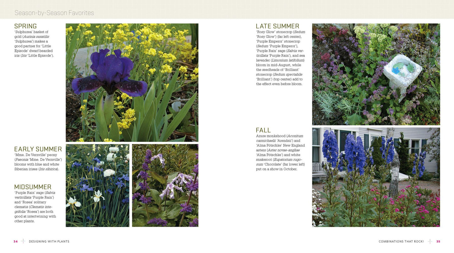 The Ever-Blooming Flower Garden: A Blueprint for Continuous Color