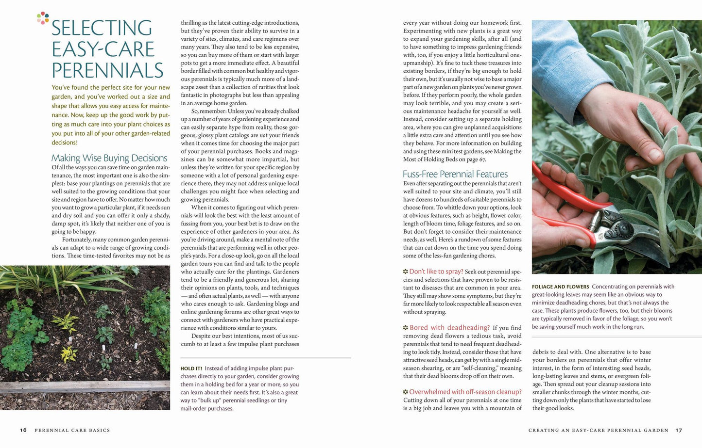 The Perennial Care Manual: A Plant-by-Plant Guide: What to Do & When to Do It