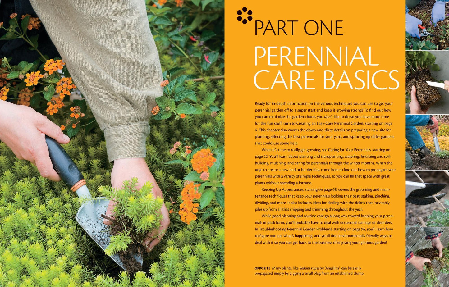 The Perennial Care Manual: A Plant-by-Plant Guide: What to Do & When to Do It