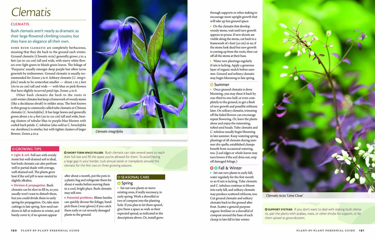 The Perennial Care Manual: A Plant-by-Plant Guide: What to Do and When to Do It