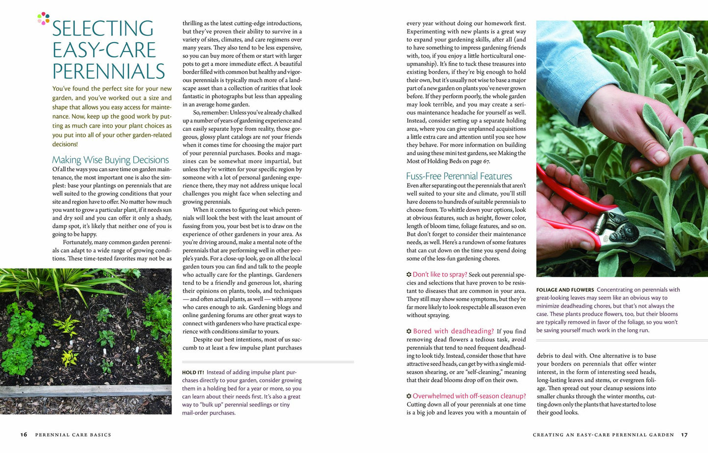 The Perennial Care Manual: A Plant-by-Plant Guide: What to Do and When to Do It