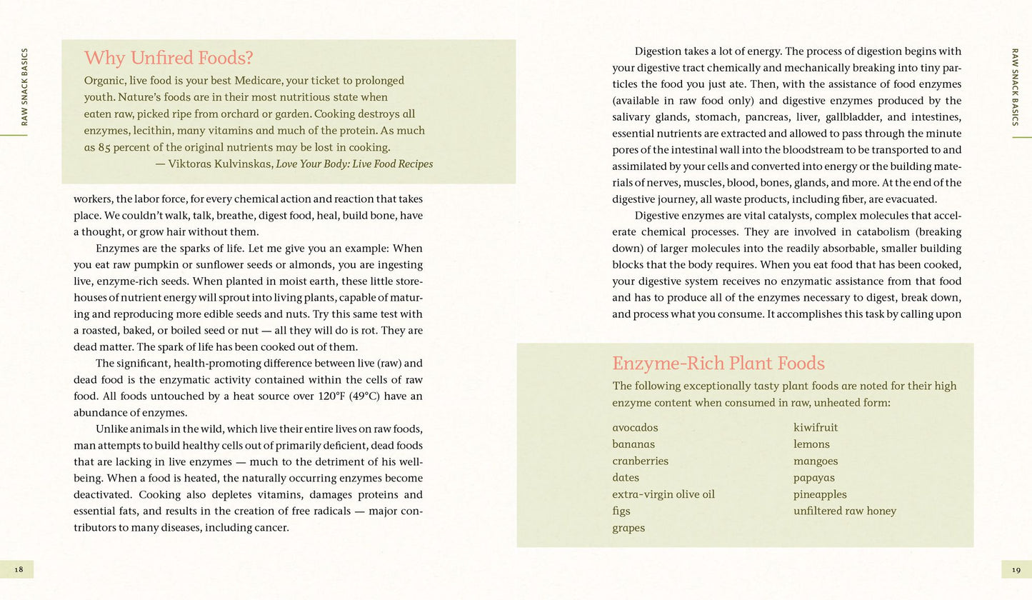 Raw Energy: 124 Raw Food Recipes for Energy Bars, Smoothies, and Other Snacks to Supercharge Your Body