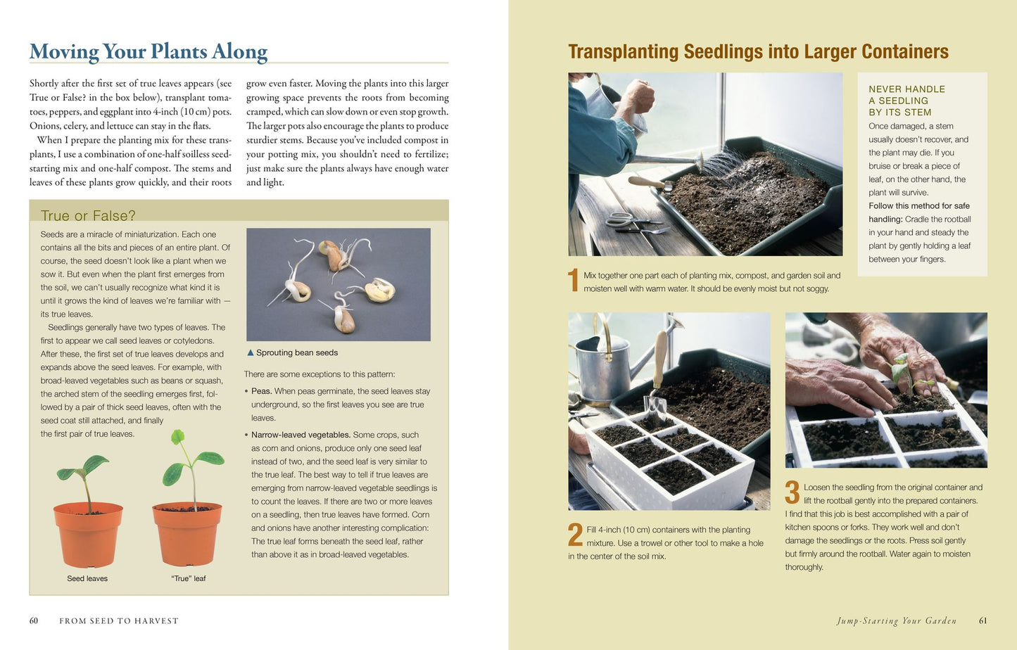 The Vegetable Gardener's Bible