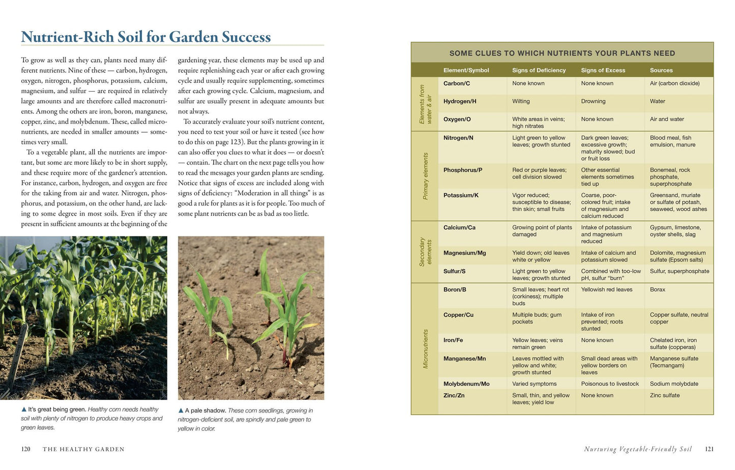 The Vegetable Gardener's Bible