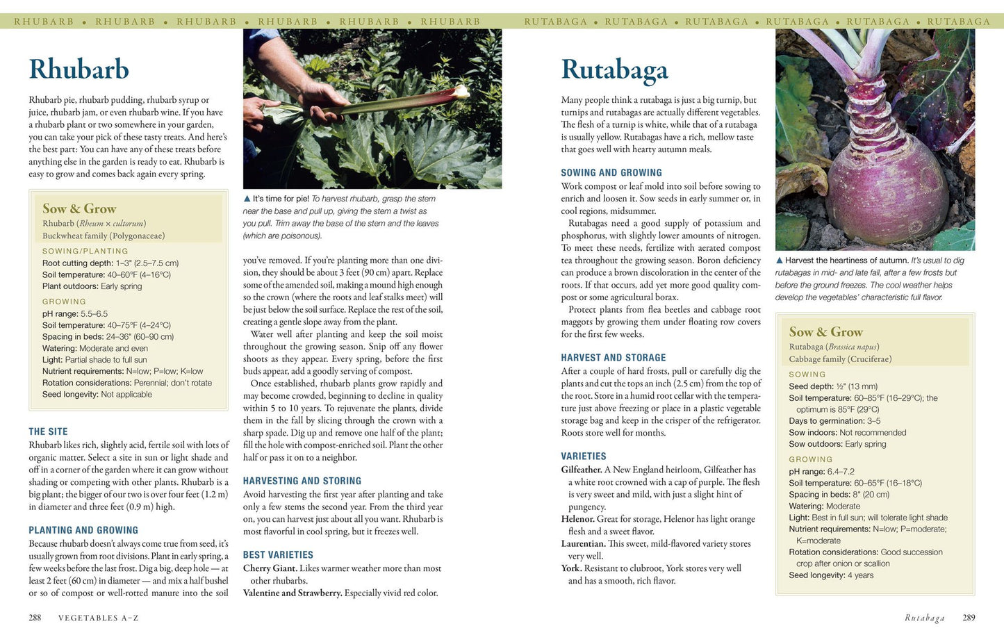 The Vegetable Gardener's Bible