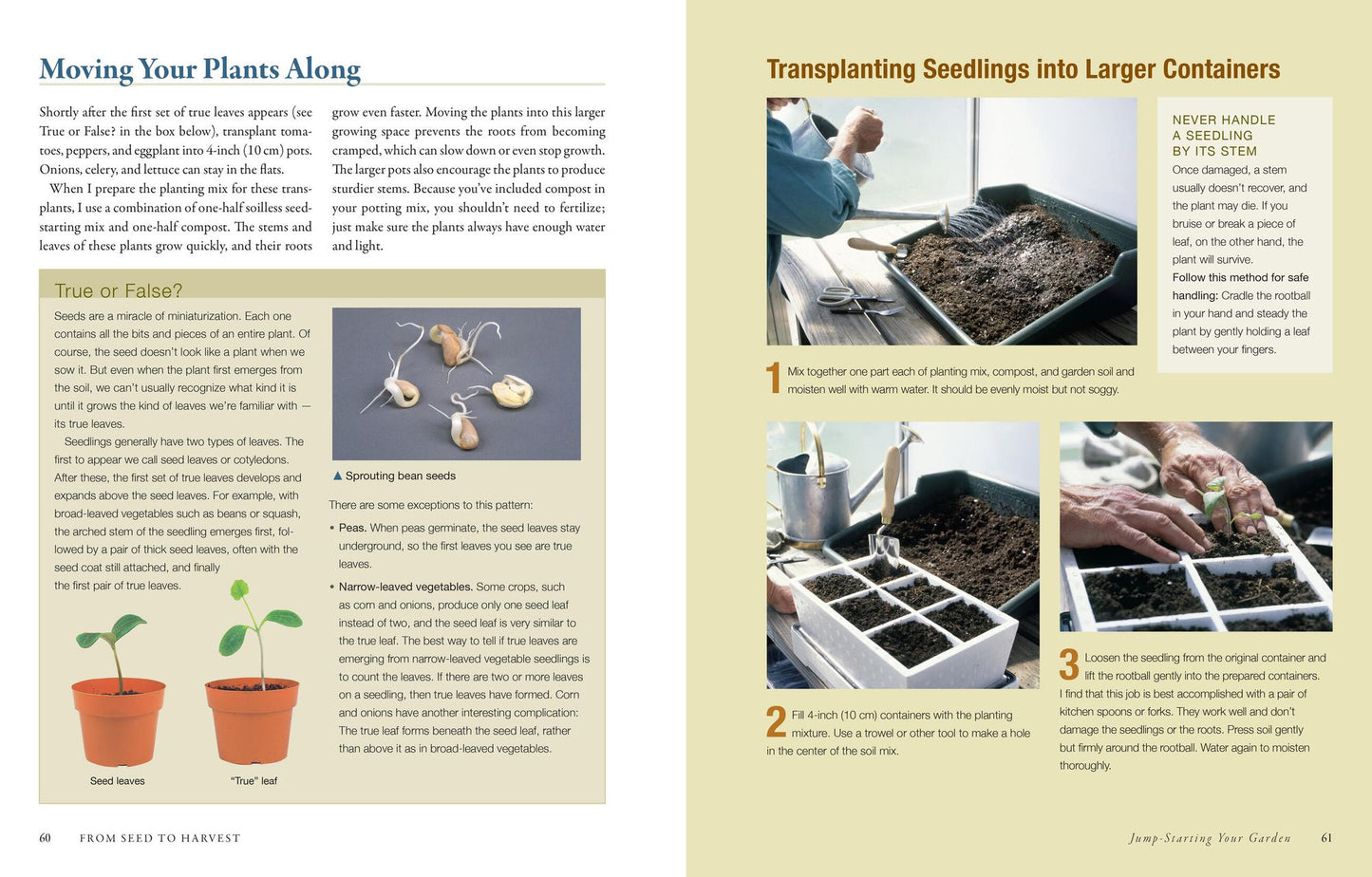 The Vegetable Gardener's Bible