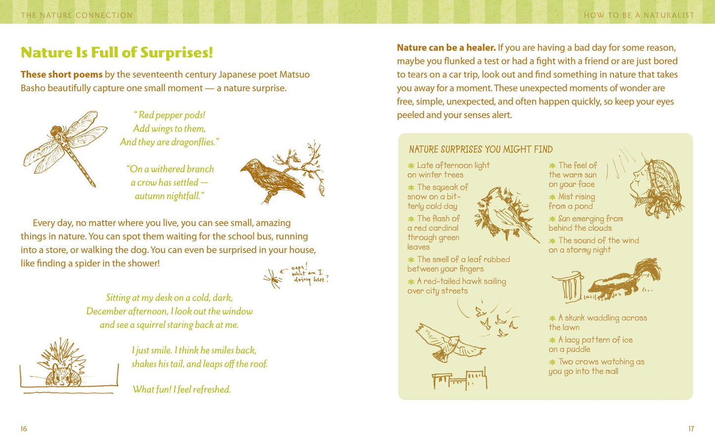 The Nature Connection: An Outdoor Workbook for Kids, Families, and Classrooms