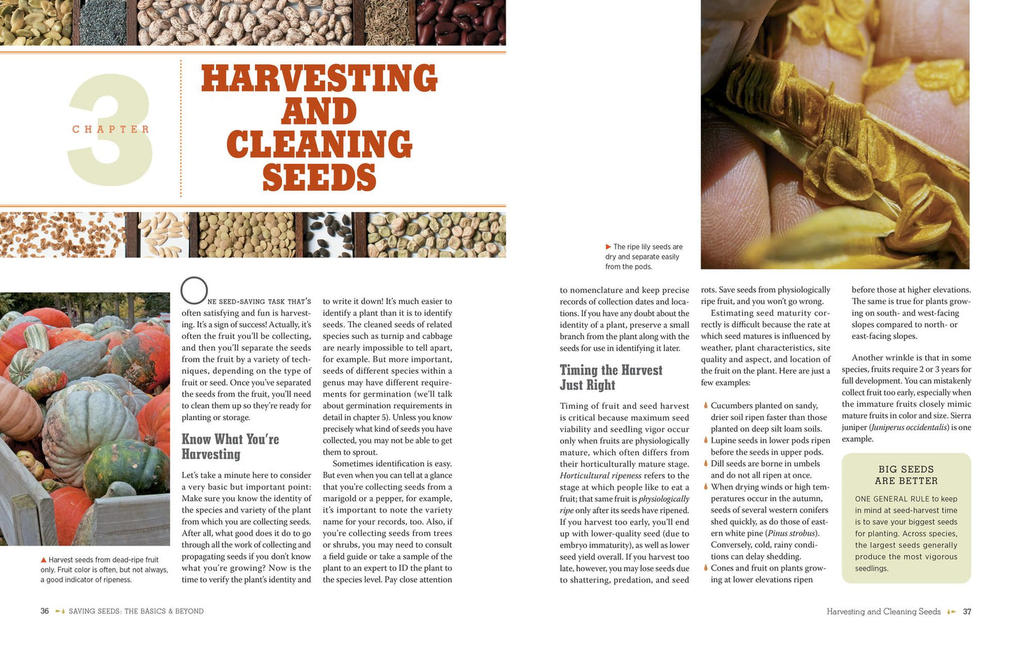 The Complete Guide to Saving Seeds: 322 Vegetables, Herbs, Fruits, Flowers, Trees, and Shrubs