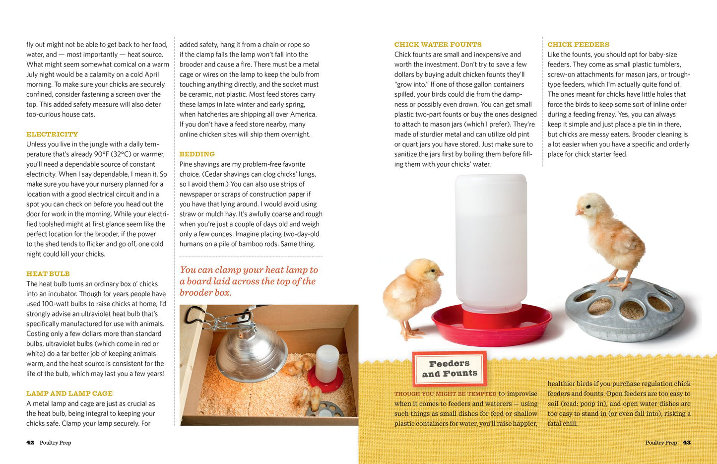Chick Days: An Absolute Beginner's Guide to Raising Chickens from Hatching to Laying
